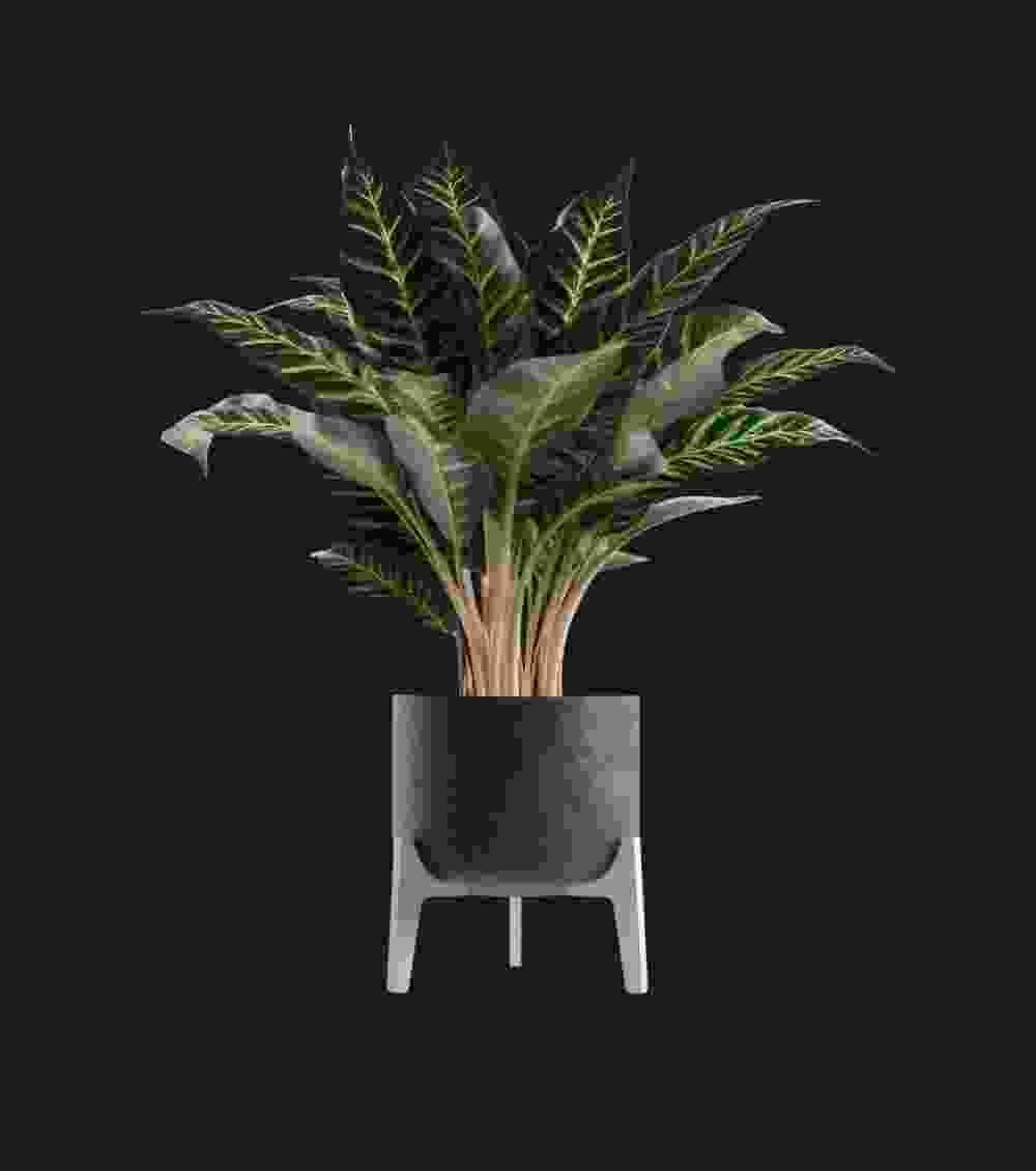 Indoor Plant Pot